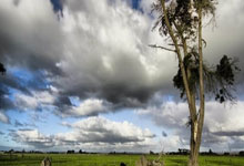 塞尔维亚男子篮球队晋级八强