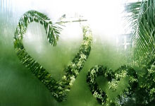 里昂客场不敌尼斯，遭受惨败