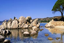 拜仁慕尼黑客场擒下勒沃库森，保持领先